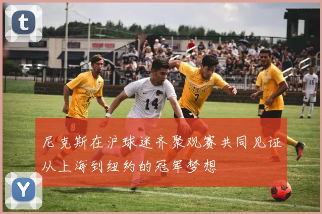 尼克斯在沪球迷齐聚观赛共同见证从上海到纽约的冠军梦想